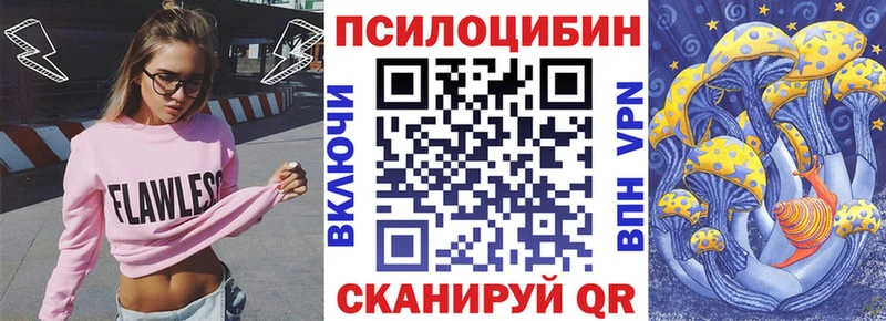 shop наркотические препараты  мега ССЫЛКА  Озёры  Галлюциногенные грибы Psilocybine cubensis 